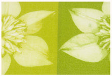 Carica l'immagine nel visualizzatore di Gallery, Tappeto Moderno Nuovo Per Il Bagno e cucina - 140x57 Cm