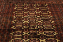 Carica l'immagine nel visualizzatore di Gallery, Tappeto Carpet Tapis Teppich Alfombra Rug Kashmir 245x155 CM