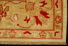 Carica l'immagine nel visualizzatore di Gallery, Tappeto Originale Zigler - 241x204 CM