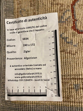 Lade das Bild in den Galerie-Viewer, Zigler Carpet Tapis Teppich Alfombra Rug (Hand Made) 240x170 CM