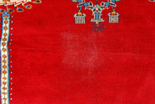 Lade das Bild in den Galerie-Viewer, Chashmere Tappeto Kashmir islamabad Pakistan ( CM 170x123 )