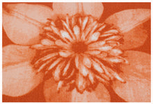 Lade das Bild in den Galerie-Viewer, 80x50 CM Teppich Modern New Clematis Meccanic Made @GalleriaFarah1970
