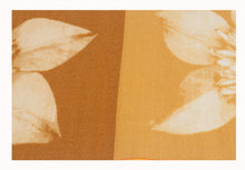Carica l'immagine nel visualizzatore di Gallery, 80x50 CM Teppich Modern New Clematis Meccanic Made @GalleriaFarah1970
