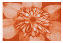 Carica l&#39;immagine nel visualizzatore di Gallery, Tappeto Moderno Nuovo Clematis Meccanico - 180x57 Cm
