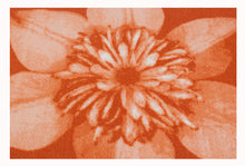 Carica l'immagine nel visualizzatore di Gallery, Tappeto Moderno Nuovo Clematis Meccanico - 180x57 Cm
