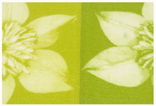 Load image into Gallery viewer, 140x57 CM TCARPET Modern New Clematis Meccanic Made @GalleriaFarah1970
