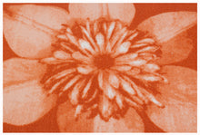 Carica l'immagine nel visualizzatore di Gallery, 140x57 CM Tappeto Moderno Nuovo ideale per la cucina ed bagno Clematis Meccan
