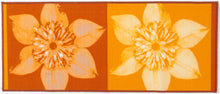 Lade das Bild in den Galerie-Viewer, 80x50 CM Teppich Modern New Clematis Meccanic Made @GalleriaFarah1970
