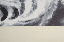 Carica l'immagine nel visualizzatore di Gallery, 120x50 CM Tappeto Elegante e molto Bello per la cucina marca di Marca Vista
