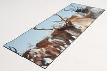 Carica l'immagine nel visualizzatore di Gallery, 120x50 CM Tappeto Elegante e molto Bello per la cucina marca di Marca Vista
