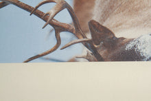 Carica l'immagine nel visualizzatore di Gallery, 120x50 CM Tappeto Elegante e molto Bello per la cucina marca di Marca Vista
