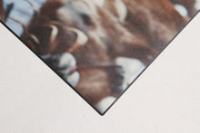 Load image into Gallery viewer, 240x66 CM Carpet Tapis Teppich Rugs brand Vista Ideal for Kitchen
