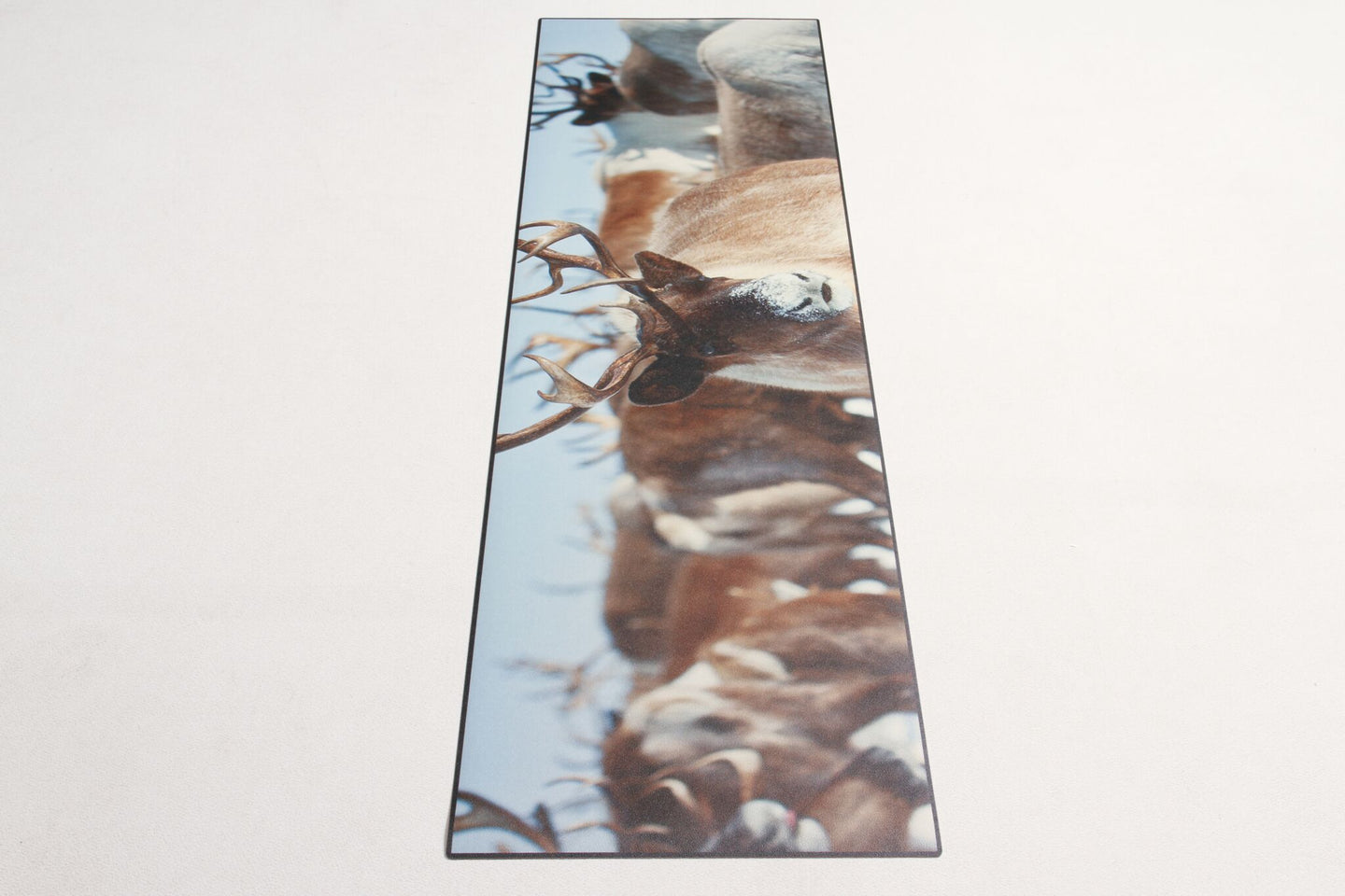 240x66 CM Carpet Tapis Teppich Rugs brand Vista Ideal for Kitchen