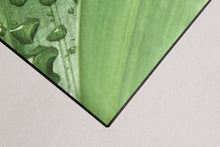 Carica l&#39;immagine nel visualizzatore di Gallery, 180x50 CM Tappeto Elegante e molto Bello per la cucina marca di Marca Vista

