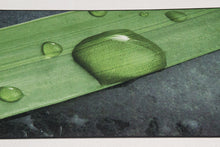 Carica l&#39;immagine nel visualizzatore di Gallery, 180x50 CM Tappeto Elegante e molto Bello per la cucina marca di Marca Vista

