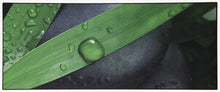 Carica l&#39;immagine nel visualizzatore di Gallery, 180x50 CM Tappeto Elegante e molto Bello per la cucina marca di Marca Vista
