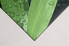 Carica l&#39;immagine nel visualizzatore di Gallery, 180x50 CM Tappeto Elegante e molto Bello per la cucina marca di Marca Vista
