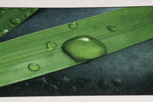 Carica l&#39;immagine nel visualizzatore di Gallery, 180x50 CM Tappeto Elegante e molto Bello per la cucina marca di Marca Vista
