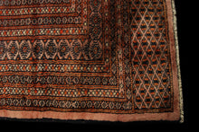 Carica l&#39;immagine nel visualizzatore di Gallery, Tappeto Carpet Tapis Teppich Alfombra Rug Kashmir 245x155 CM 
