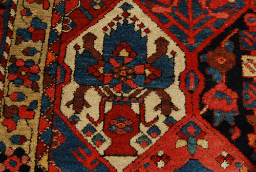 315x212 CM Authentic original hand knotted carpet 