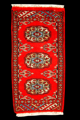Kashmir Wool Carpet CM 60x30 Pakistan Rugs