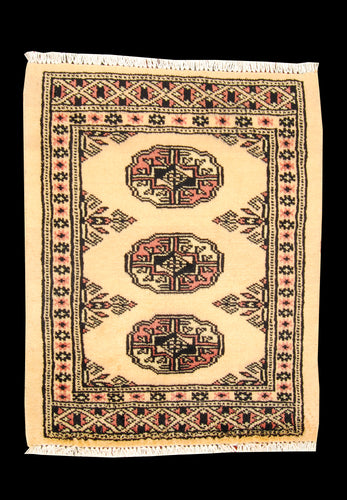 Kashmir Wool Carpet CM 60x45 Pakistan Rugs