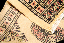 Lade das Bild in den Galerie-Viewer, Kashmir Wool Carpet CM 60x45 Pakistan Rugs
