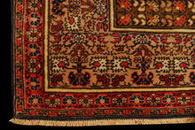 Lade das Bild in den Galerie-Viewer, Panderma Tappeto Carpet Tapis Teppich Alfombra Rug Tapiet 170x115 CM
