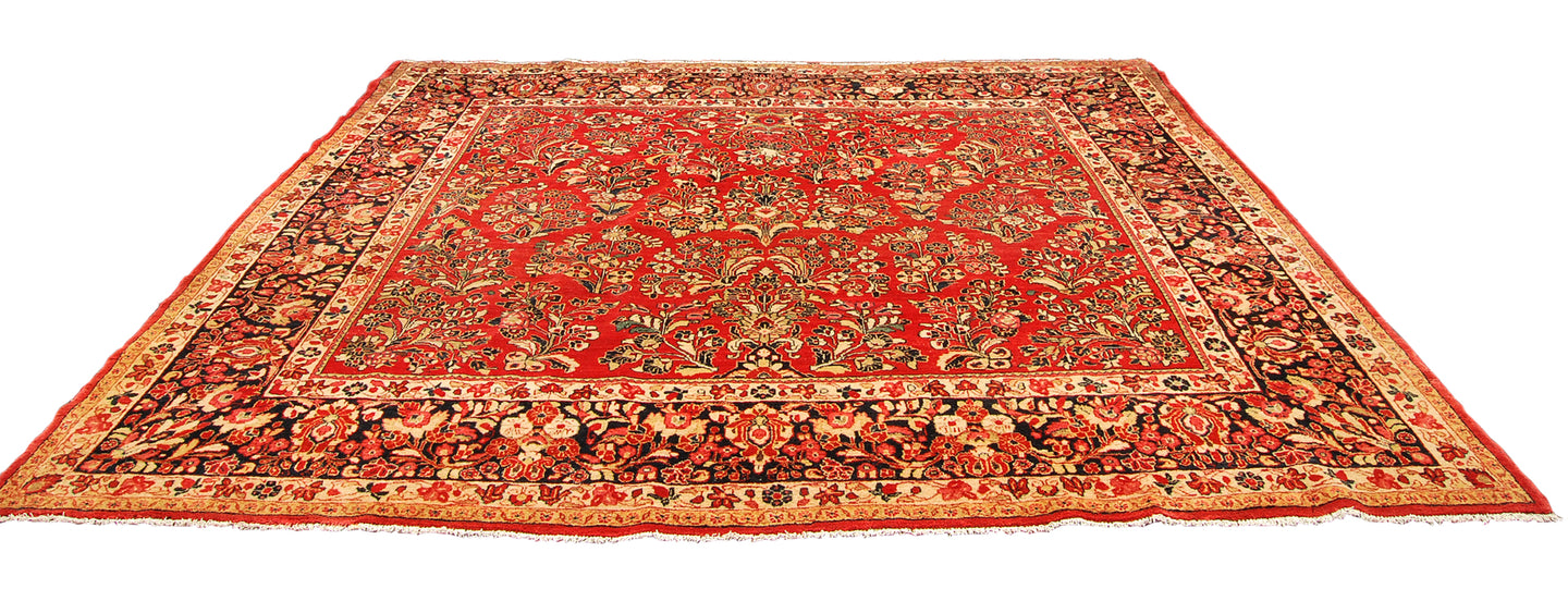 Tappeto Sarok Americano Hand knotted carpet Original 278x250 CM