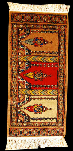 Tappeto Autentico Originale Annodato a Mano Kashmir Pakistan 65x31 CM