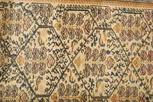 Carica l'immagine nel visualizzatore di Gallery, Tappeto Originale annodato a mano Zanjan CM 145x98
