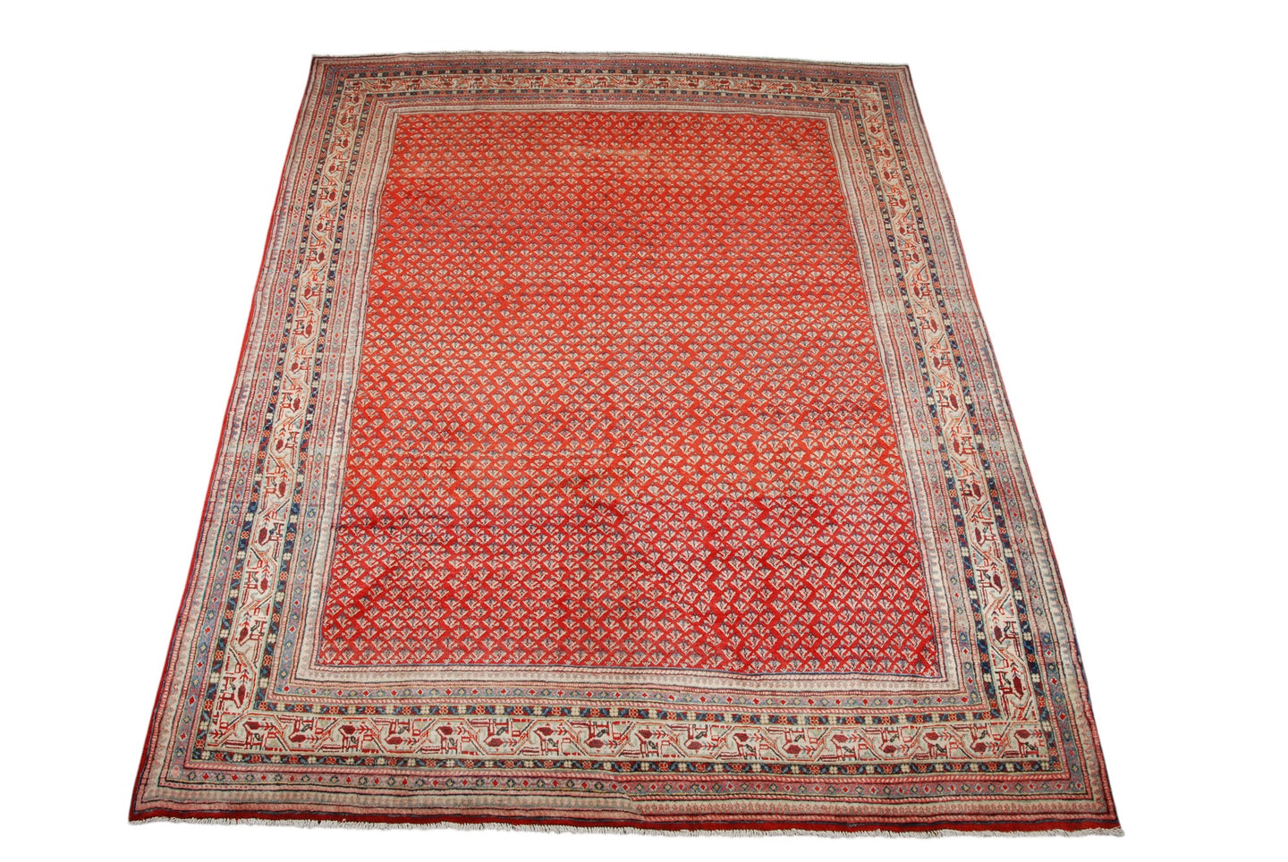 Tappeto Originale annodato a mano CM 310x220 (Galleriafarah1970)